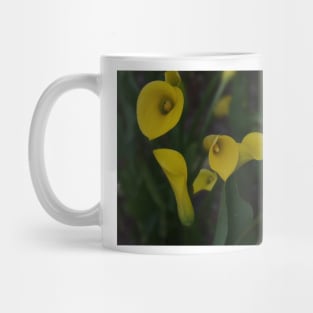 850_4515 Mug